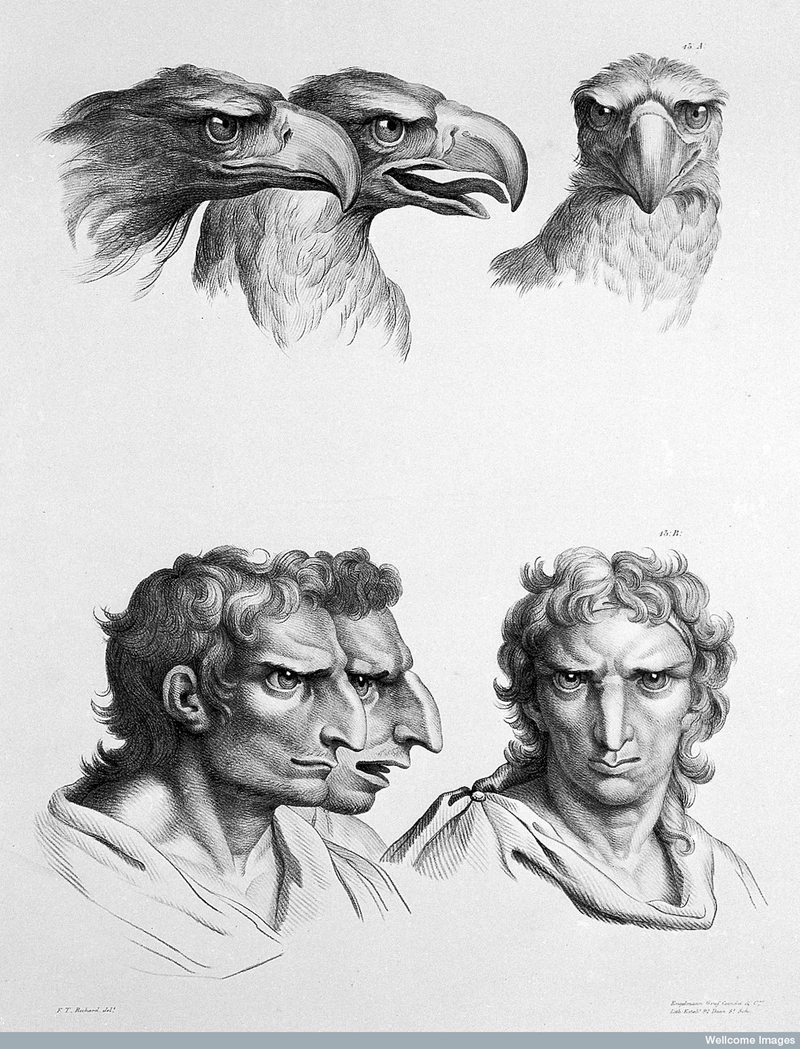Illustration for article titled Baroque-Era Drawings Reveal Early Ideas About Evolution